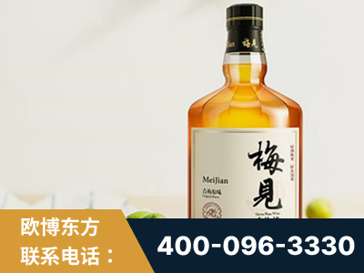 合肥-梅见青梅酒