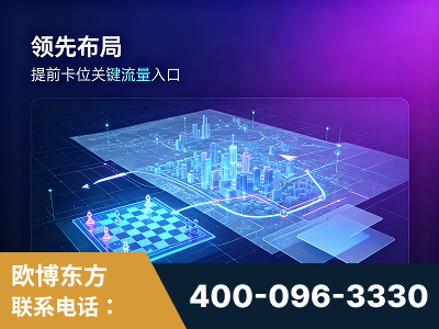 合肥-领先布局：于2024年初开启GEO业务的公司